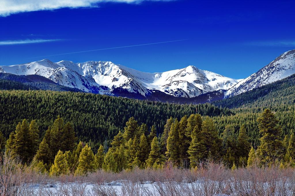 Baymont By Wyndham Fort Collins Eksteriør billede